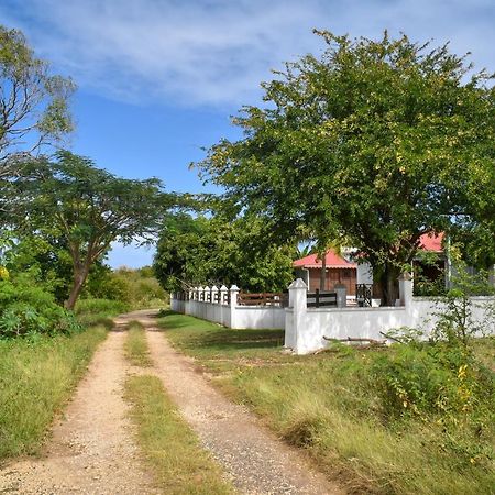 Gîtes du Domaine de la Canne à Sucre Anse-Bertrand Extérieur photo